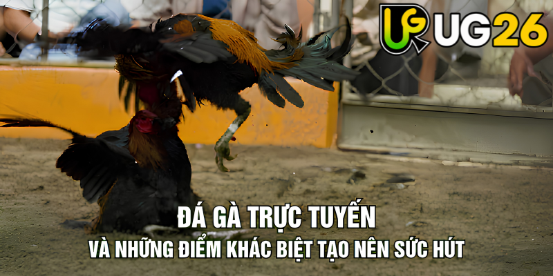 Tin tức