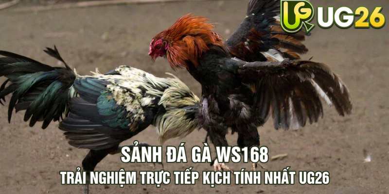 Tin tức