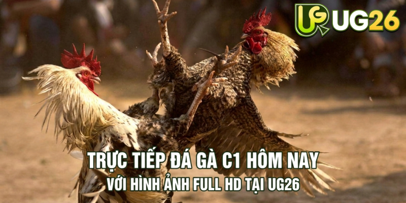 Tin tức